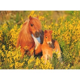 Puzzle Ponei, 100 Piese Ravensburger - 1